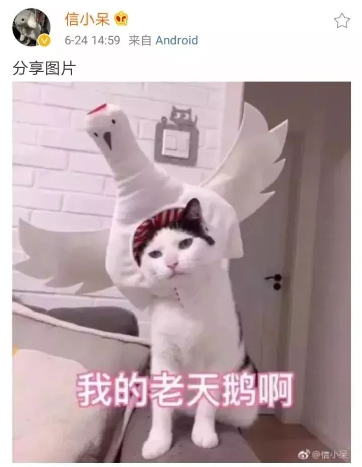 被支付宝选中的锦鲤女孩中奖一亿,被支付宝砸中的锦鲤