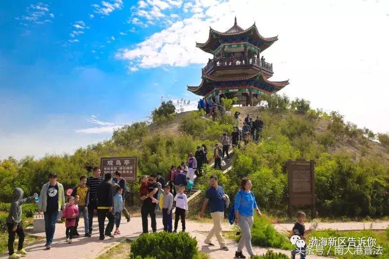 全域旅游河北,沧州渤海新区旅游免费海边