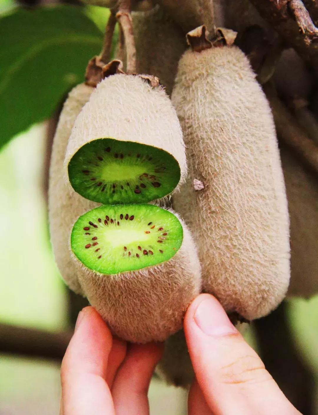 浙南绝美秘境,浙南生态秘境自驾