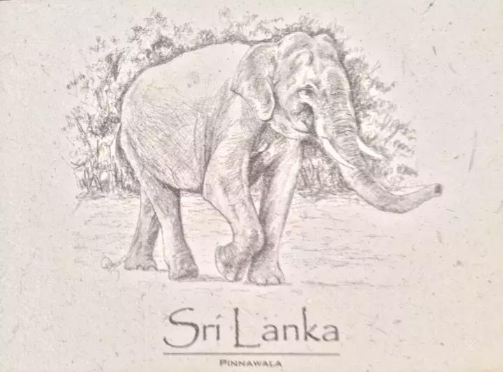 2018最流行的伴手礼,欧洲十大必买伴手礼