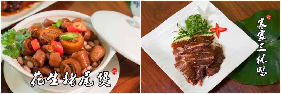 广东哪里有杏花鸡,东莞奇香杏花鸡