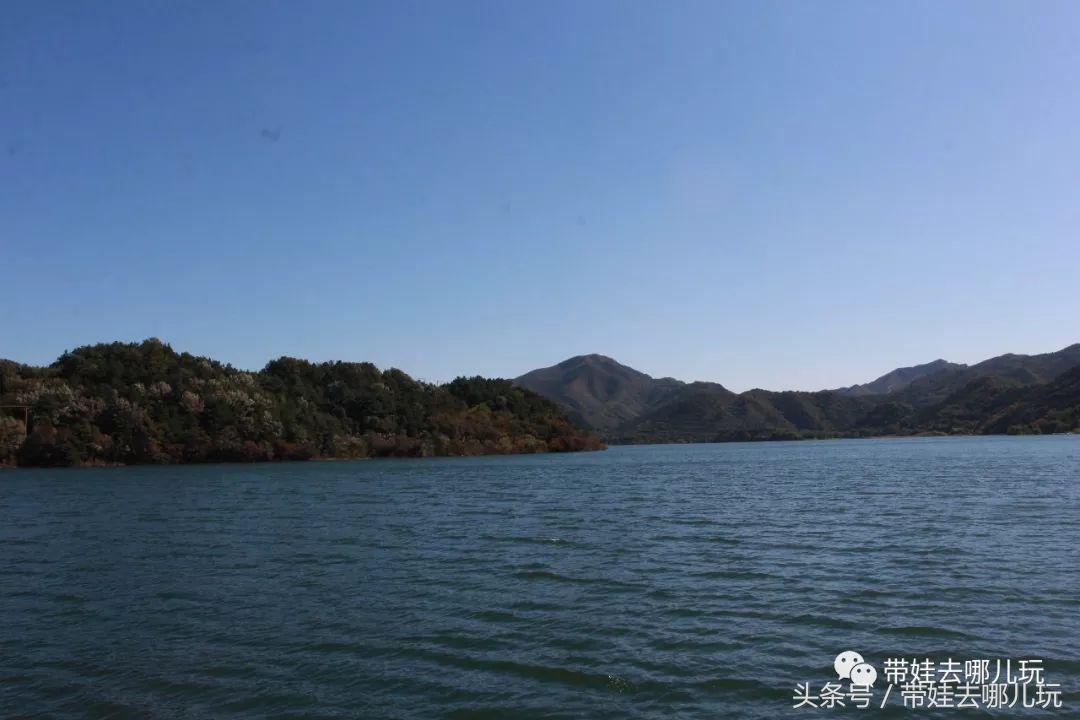 金海湖风景区有啥特点,金海湖风景区有什么玩的