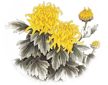 「馆陶知多少」在馆陶供销社、代销点买过东西的速来看了