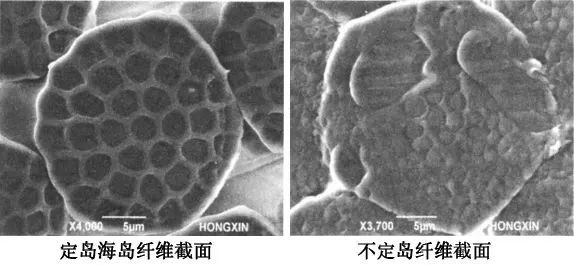 海岛纤维,海岛纤维和橘瓣纤维区别