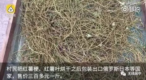 身价暴涨！蓬安农村这东西竟然卖300一斤？你家都有！