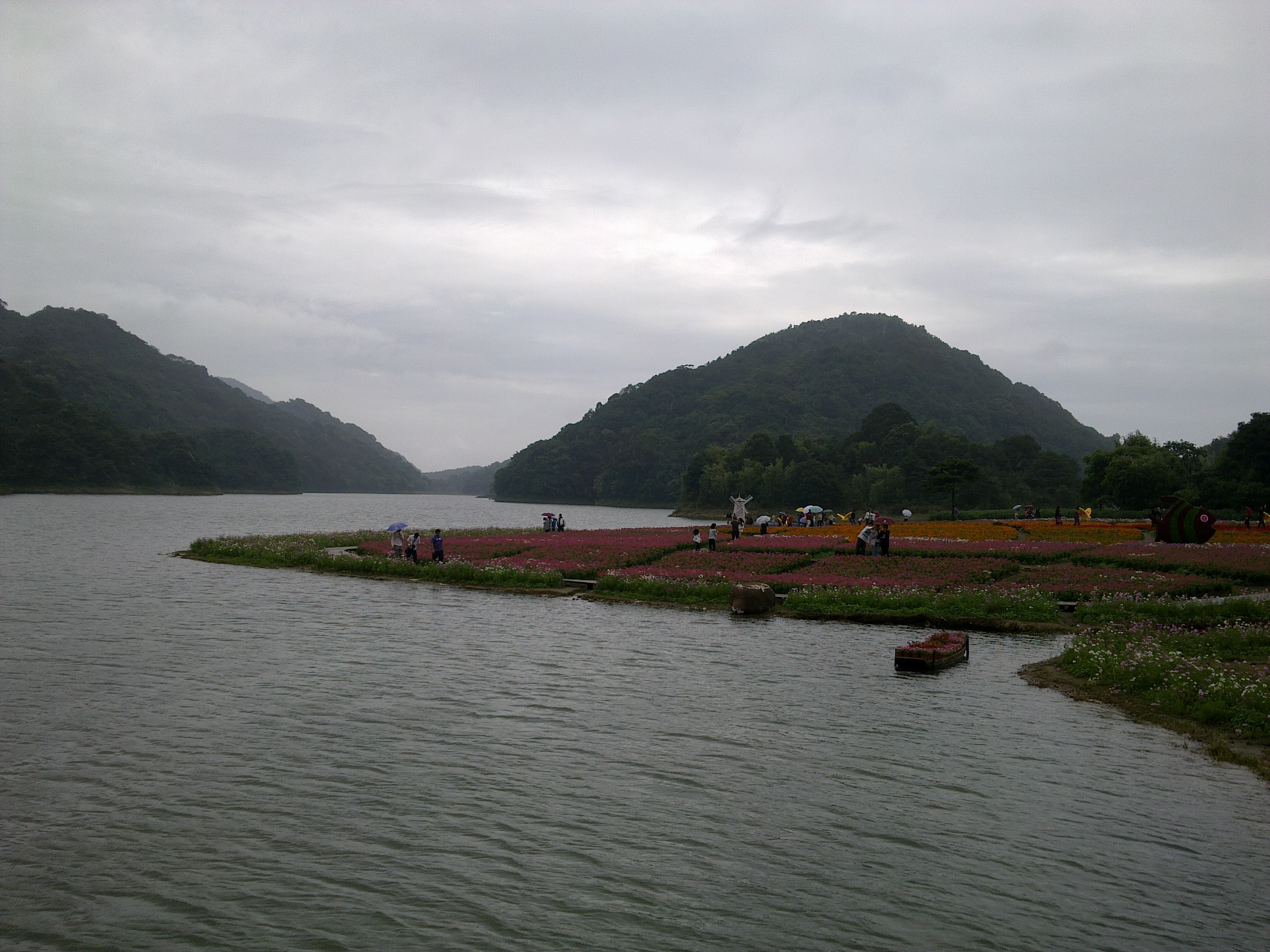 百万葵园85元门票包含什么,广州百万葵园免费门票