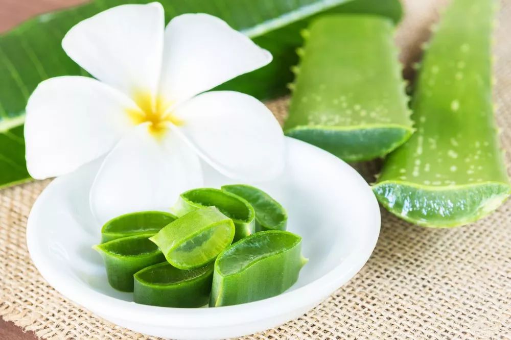 皮肤暗黄抹新鲜芦荟能改善吗,少年科学粉怎么样