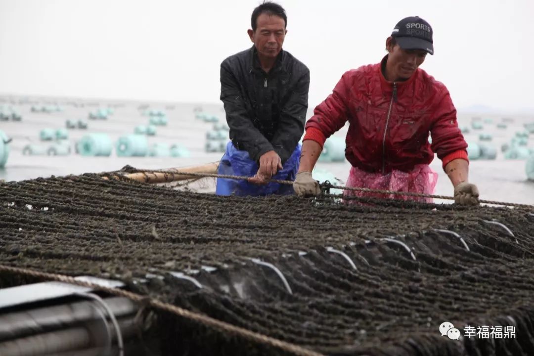 科技创新推动海洋经济高质量发展,科技推动海洋的发展