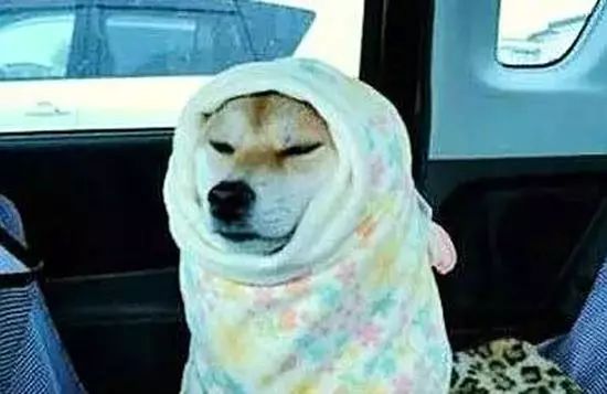 山东潍坊将迎明显降温天气,潍坊霜降大降温