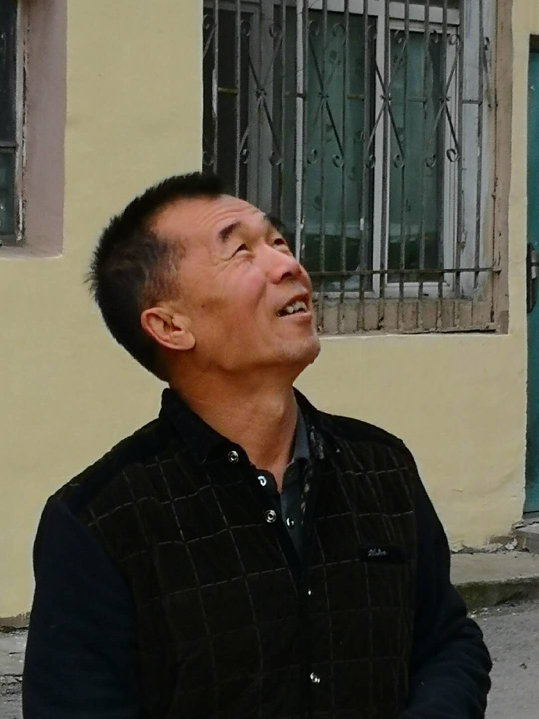 哈尔滨喂麻雀,麻雀一年能孵化多少只