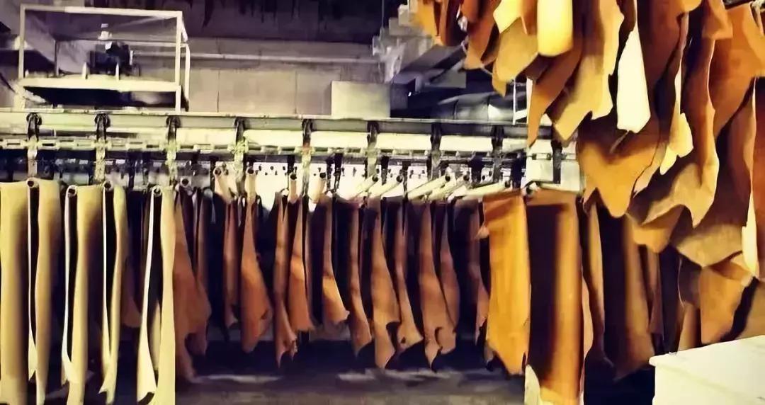 红翼究竟有多硬？硬到脚磨出血都能风靡世界