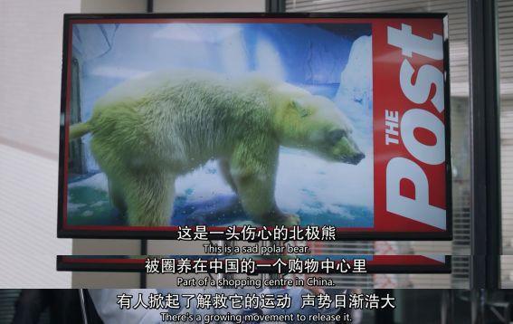 新闻已死?你以为靠博眼球冲销量的营销媒体真的没有新闻理想?