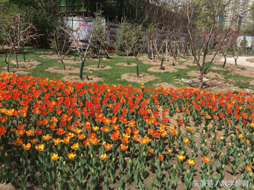 有关于足球的数学知识,数学知识有什么用呢