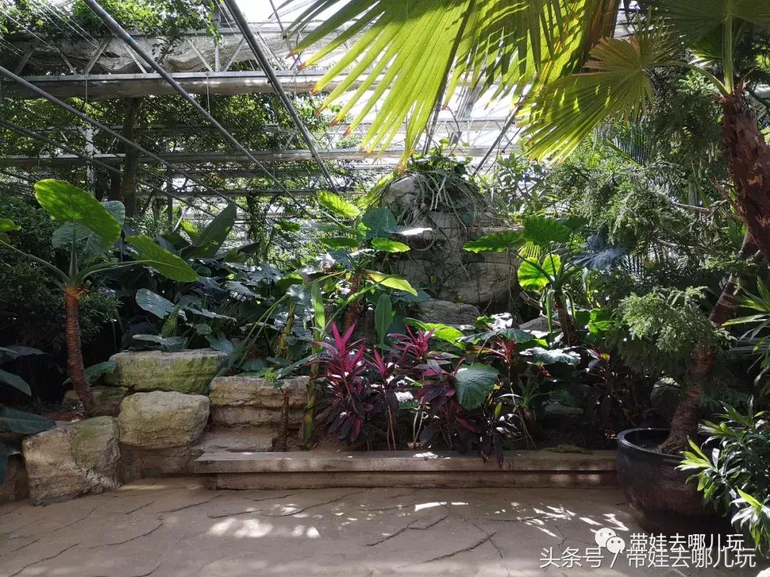 京郊十大亲子酒店,平谷亲子酒店值得去吗