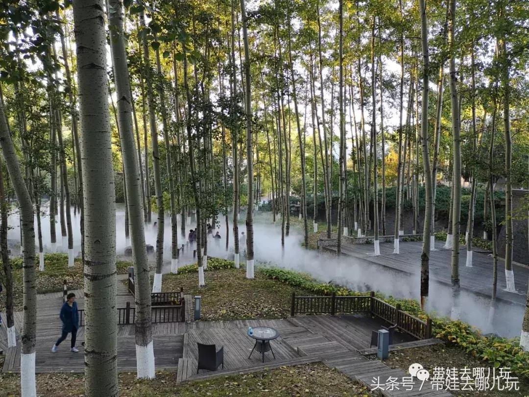 京郊十大亲子酒店,平谷亲子酒店值得去吗