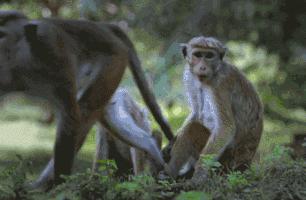 健康真的是吃出来的吗,健康多半是吃出来的