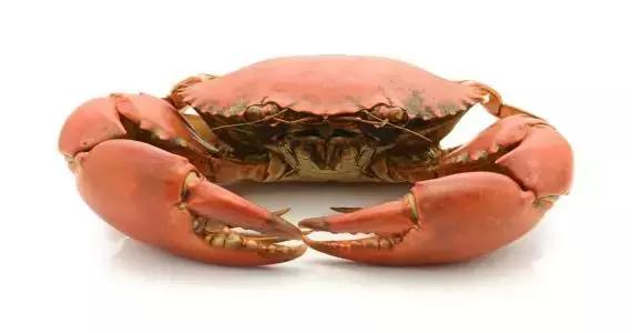 头皮发麻有虫怎么办,头皮发麻有小虫爬