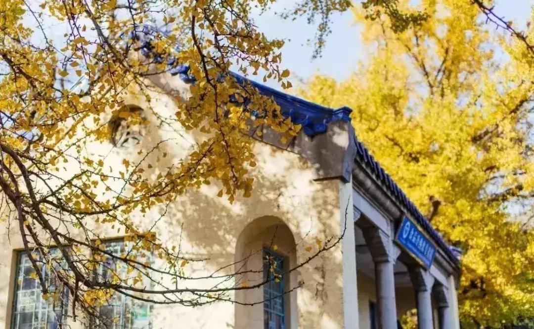 10月新低！广州出发机票仅180块！坐飞机玩转抖音最火网红地