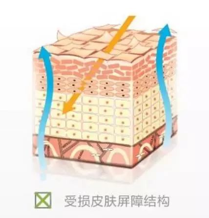 秋季宝宝身上长痒疙瘩,秋季孩子身上痒是什么原因