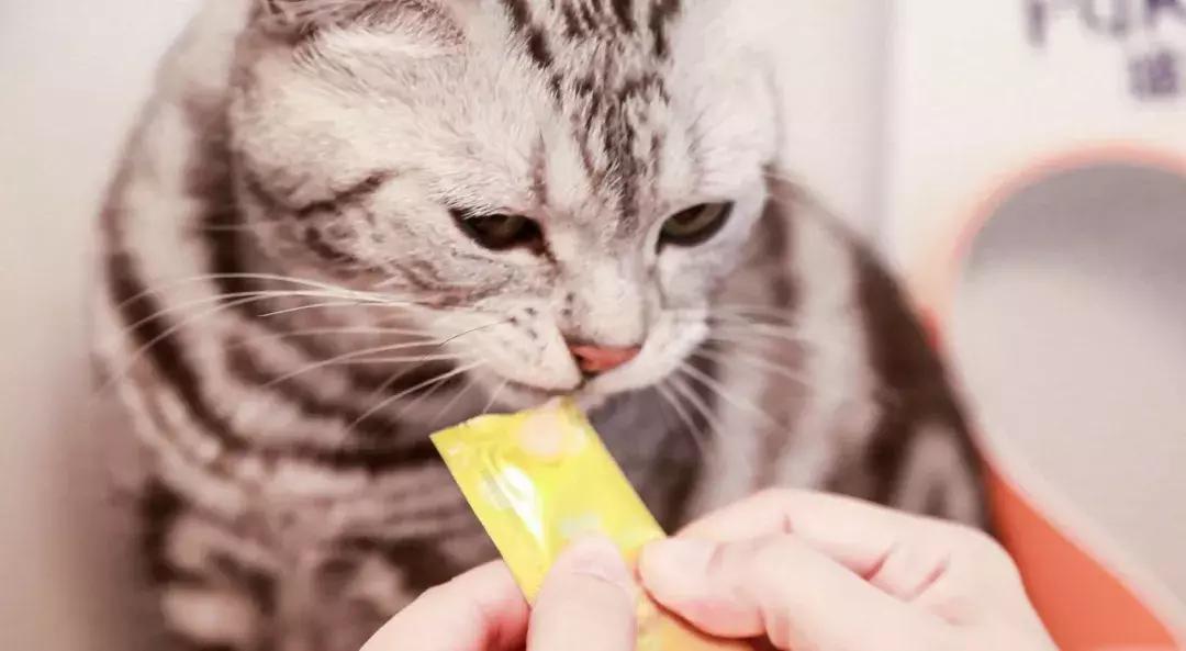 雀巢普瑞纳宠物食品品牌,雀巢普瑞纳宠物食品有限公司