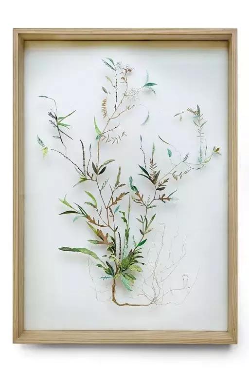 干花工艺画教程,干花做标本画