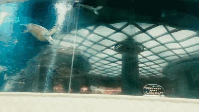 石家庄不相信眼泪，但相信洗浴