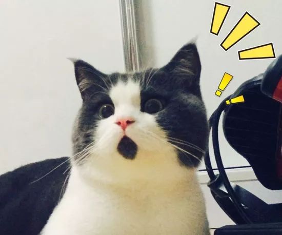 女子代购5万买假鞋,女子淘宝上买到假的鞋