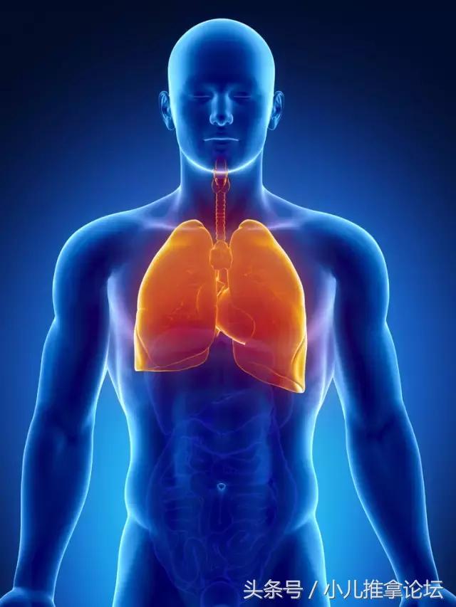 颜面望诊的详细版图解,颜面望诊最全有图讲解