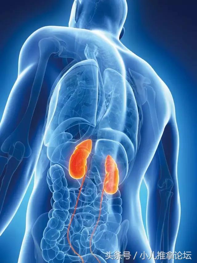 颜面望诊的详细版图解,颜面望诊最全有图讲解