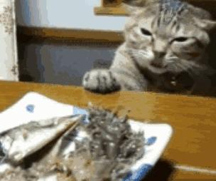 岛国最“臭”的食物该怎么运输？一不小心就变成“生化”*器武**！