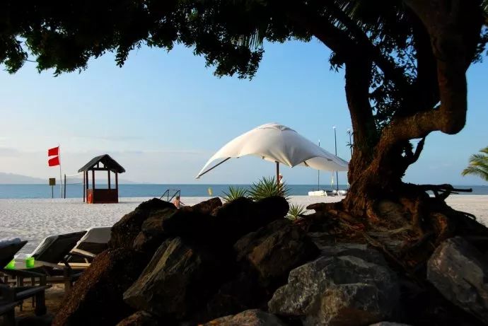 李茶的姑妈海景大别墅,李茶的姑妈在马来西亚