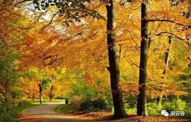 关于秋天的30首经典诗词,60首最经典描写秋天的诗词