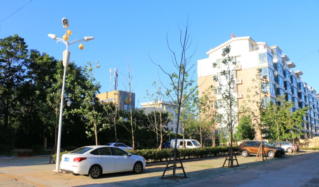 美了美了钢琴曲二胡,美了美了越南红歌