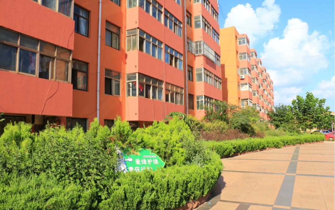 美了美了钢琴曲二胡,美了美了越南红歌