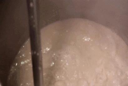 日本本土拉面探店,日本十大拉面探店