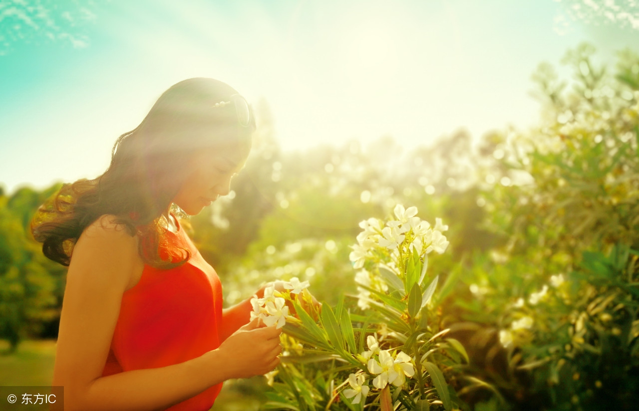 英语感恩美文,英语美文经典