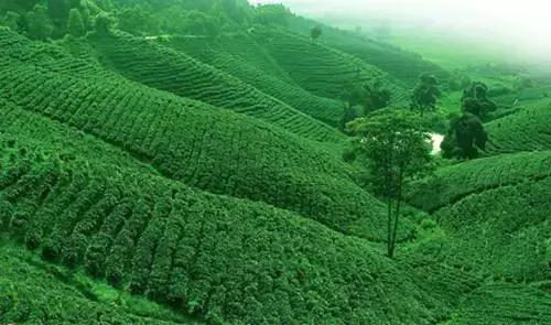 河南十大旅游示范区,河南首批重点示范镇