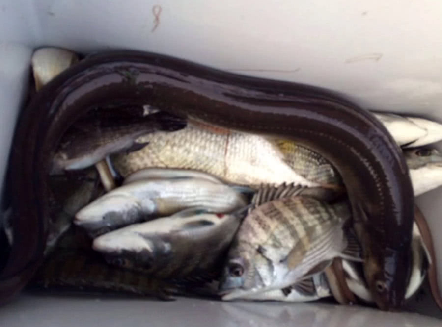 海钓最大的收获,海钓过足瘾