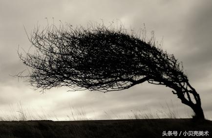 吹呀吹创意美术,创意美术我爱吹泡泡