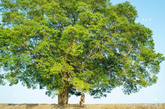 吹呀吹创意美术,创意美术我爱吹泡泡