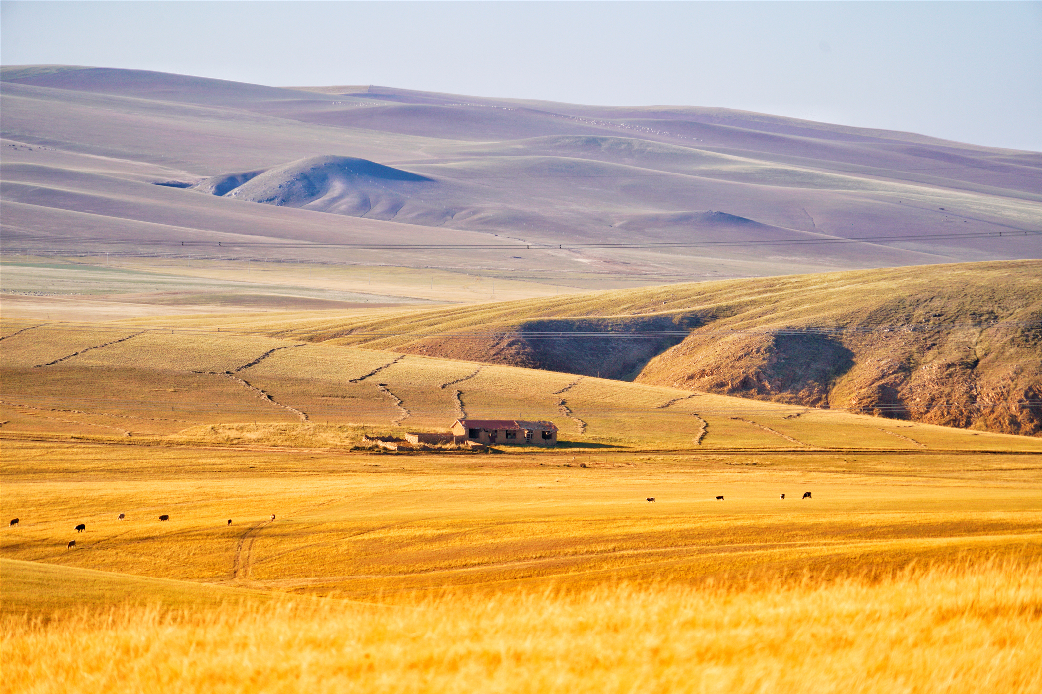 锡林郭勒大草原冬天旅游攻略,锡林郭勒大草原旅游攻略全部