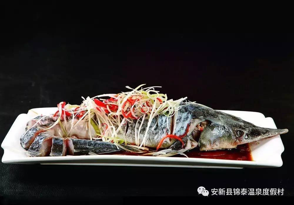 西杂鲟和中华鲟区别,西杂鲟和中华鲟杂交