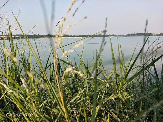 oppok1千元机哪一款最好,oppok1测评旗舰机拍照和游戏体验