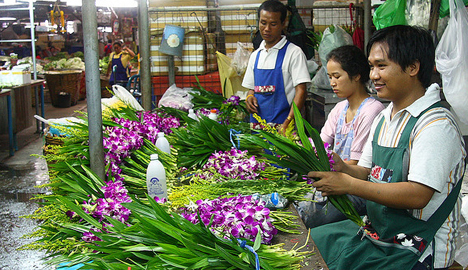 泰国自由行之清迈旅游,泰国曼谷自由行一日游