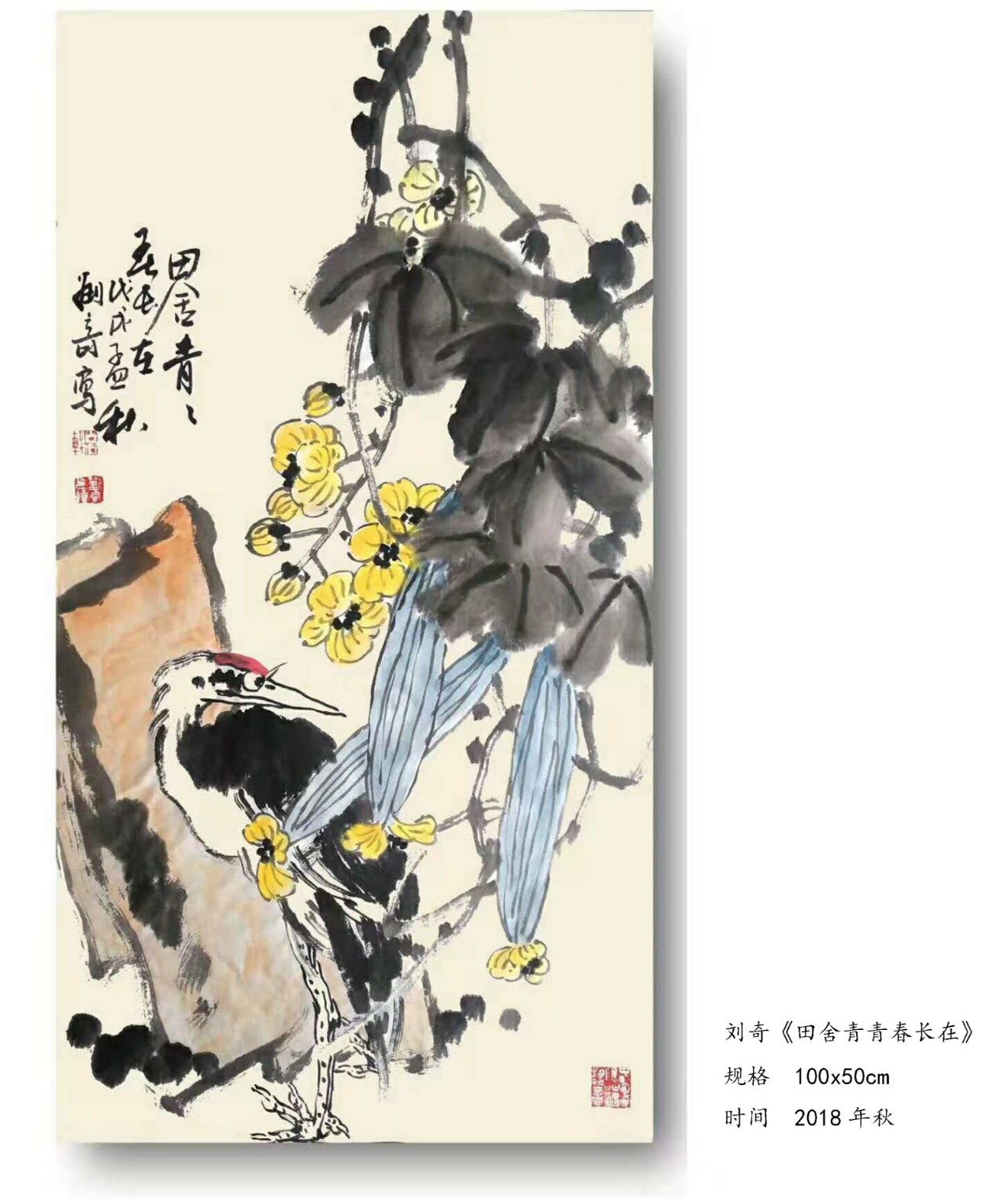 刘奇花鸟画精品欣赏,刘奇大写意花鸟画好吗