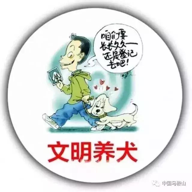 马鞍山城市禁止养这30类犬,马鞍山文明养犬规定