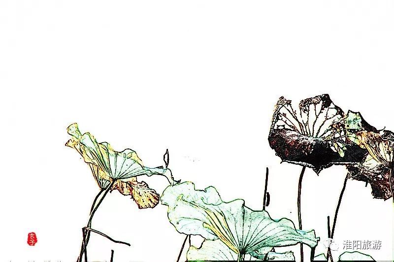 淮阳龙湖荷花盛景照片及描写,淮阳龙湖荷塘