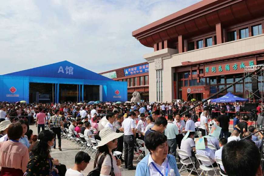 中国药行深似海 (深入药行深似海)