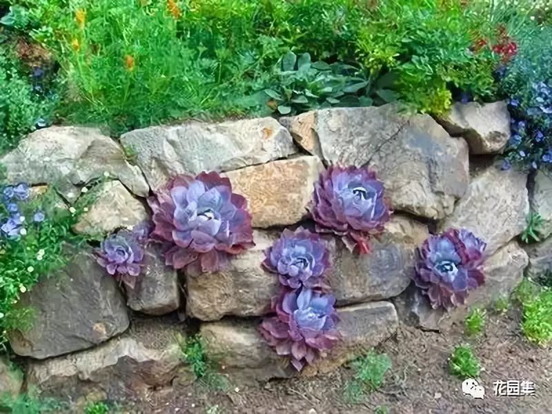 庭院风水基础知识,庭院风水知识大全集