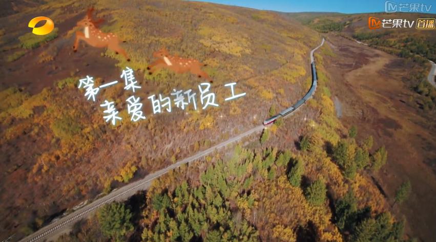 刘涛背的包,包贝尔刘涛同款